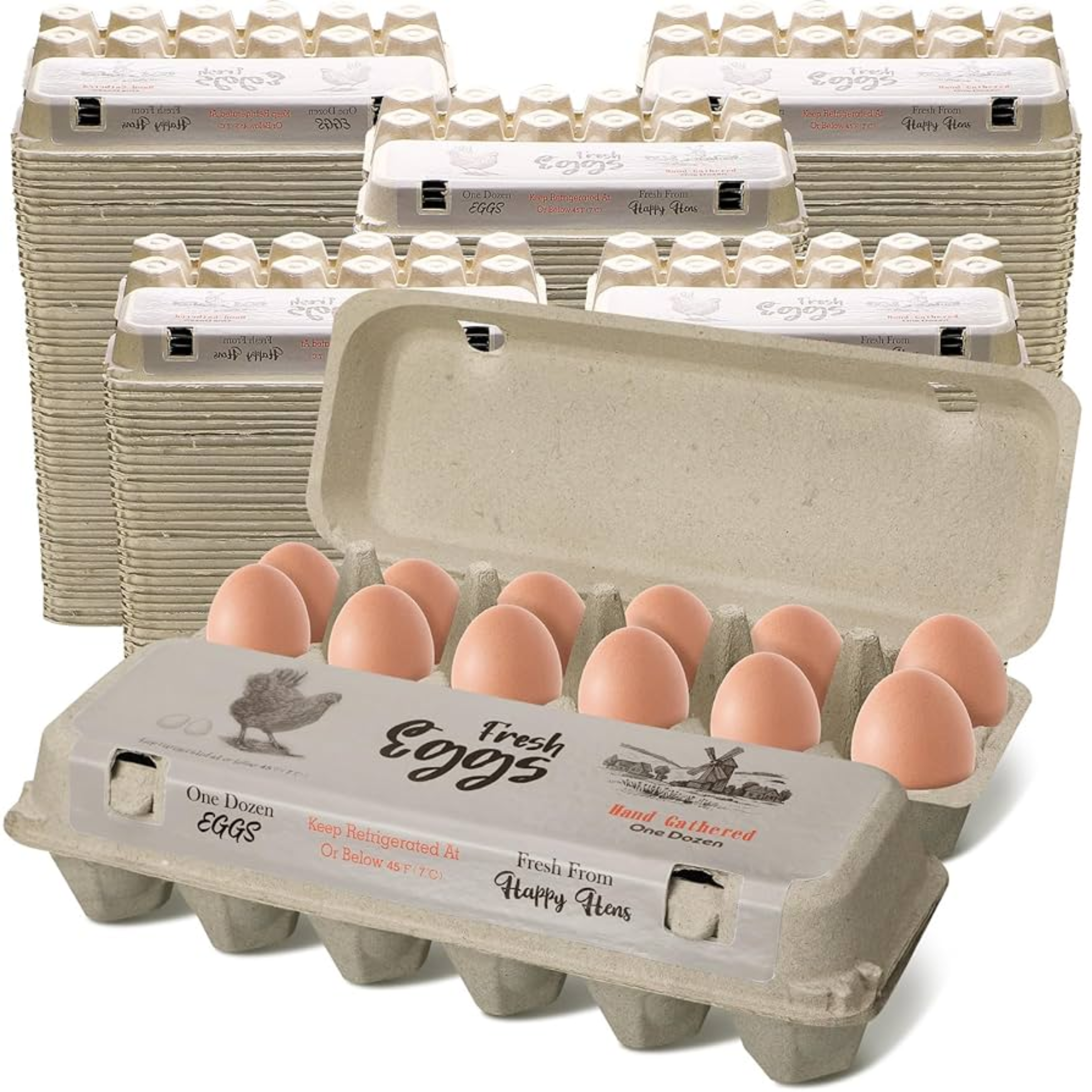 Fresh Eggs